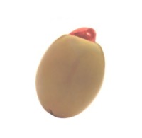 [an olive]